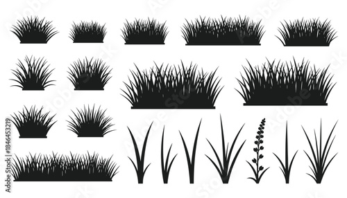 Grass silhouettes set with various lawn and meadow shapes for nature landscape design and outdoor vector illustration.