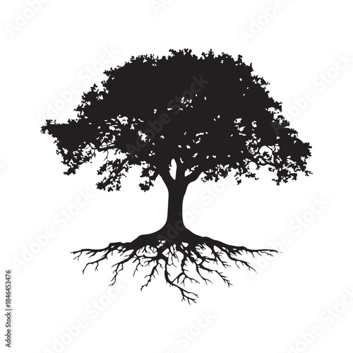 Tree with roots silhouette, Black and white silhouette of a tree with exposed roots, Silhouette of a majestic tree showing roots