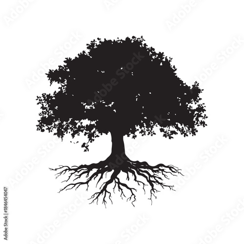 Tree with roots silhouette, Black and white silhouette of a tree with exposed roots, Silhouette of a majestic tree showing roots