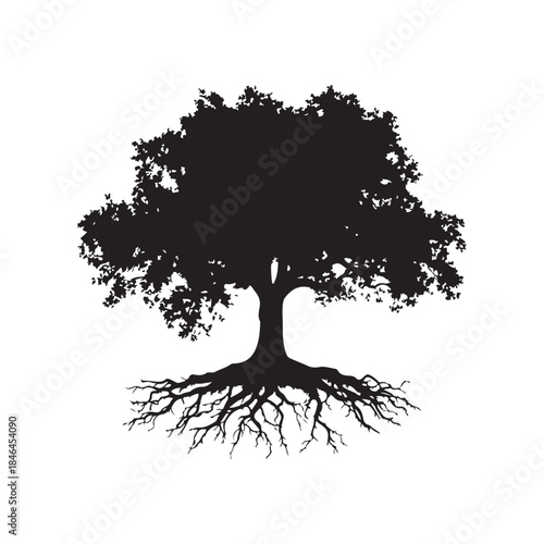 Tree with roots silhouette, Black and white silhouette of a tree with exposed roots, Silhouette of a majestic tree showing roots
