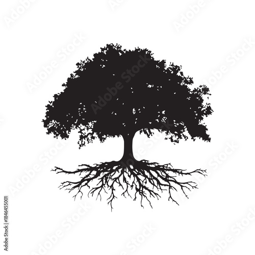 Tree with roots silhouette, Black and white silhouette of a tree with exposed roots, Silhouette of a majestic tree showing roots