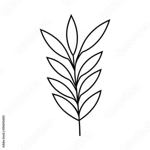 Black and white houseplant and branch outline created in a clean botanical style Vector illustration
