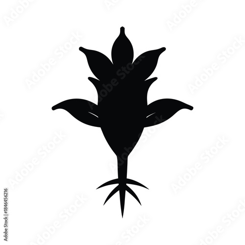 Foto Black arrowroot plant silhouette illustrating a bold tropical botanical form Vec