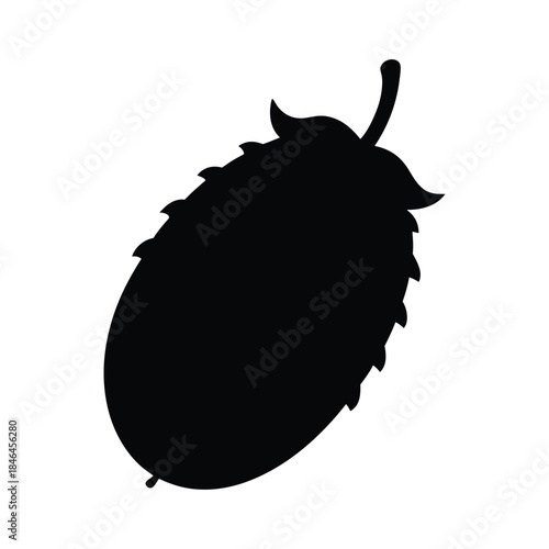 Black bitter melon silhouette representing a natural vegetable botanical design Vector illustration