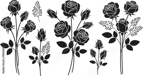 Collection of elegant black and white rose illustrations with buds and foliage, perfect for design projects