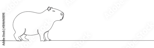 Continuous one line drawing of a capybara. Vector illustration of a standing wild animal isolated on white background. Minimalist South American wildlife concept