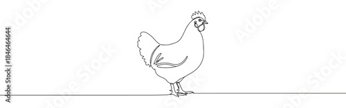 Continuous one line drawing of a chicken. Vector illustration of standing farm bird isolated on white background. Minimalist poultry livestock concept