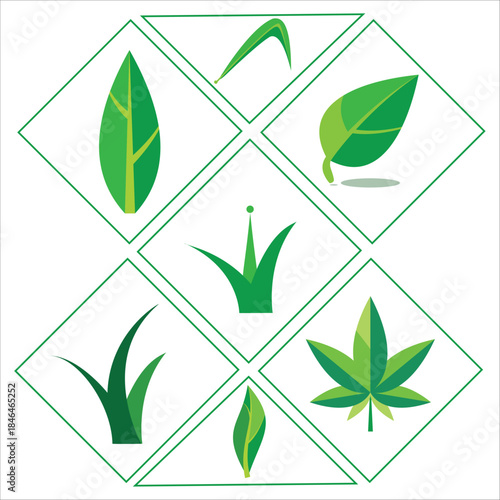 Green leaves and grass blades vector collection set