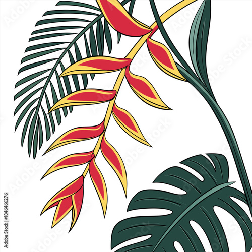 heliconia pendula leaf colorful on white background