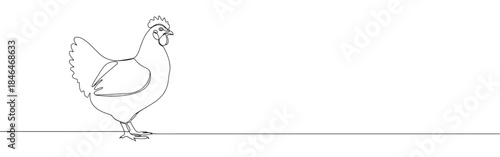 Continuous one line drawing of a chicken. Vector illustration of standing farm bird isolated on white background. Minimalist poultry livestock concept