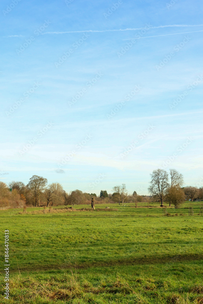 Fototapeta premium Wide green field under a clear blue sky, showing a serene rural landscape with distant trees and a contrail