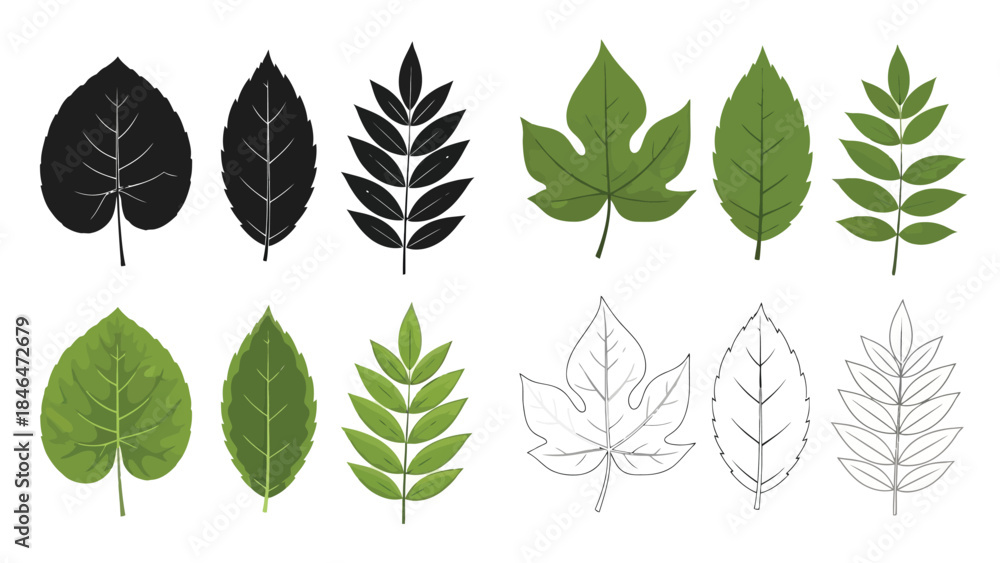 Fototapeta premium A collection of diverse green and monochrome leaf shapes in a linear arrangement