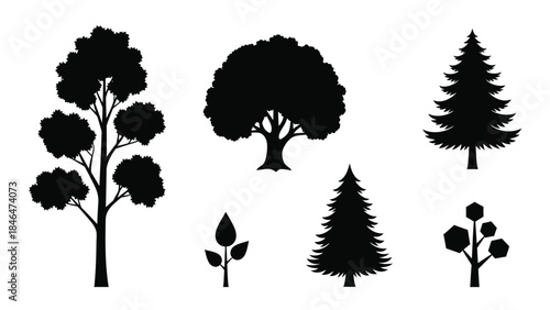 Silhouettes of various trees and foliage in a black and white design