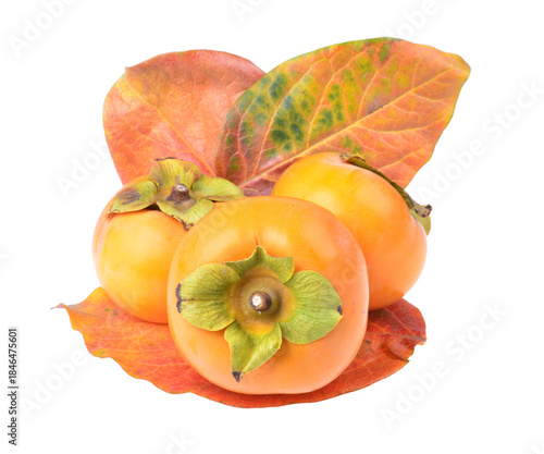 Fresh organic ripe persimmons fruits with yellow Leaves,isolated on white background.