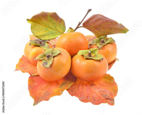 Fresh organic ripe persimmons fruits with yellow Leaves,isolated on white background.