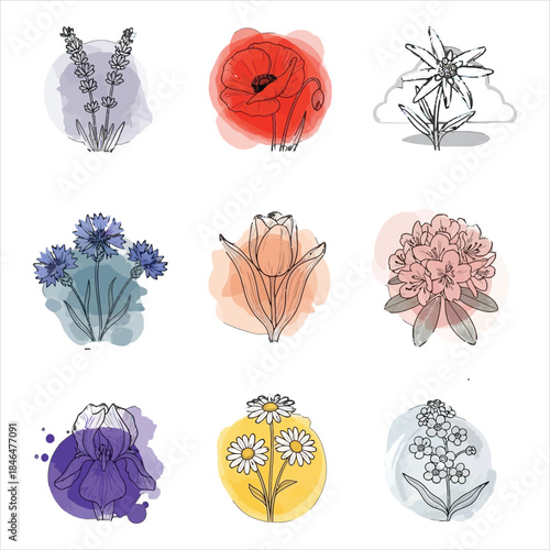 A vibrant collection of hand-drawn flowers with watercolor accents, showcasing various blooms