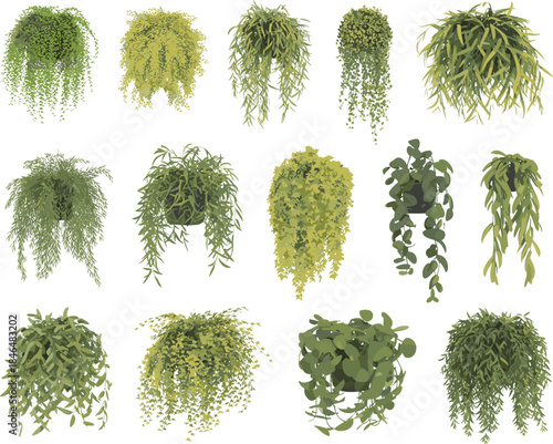 Set of hanging plants illustration with lush green foliage indoor botanical decor houseplant collection vector