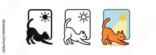 morning routine cat stretching morning light