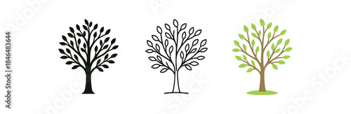 seasonal lifestyle spring tree with fresh small leaves