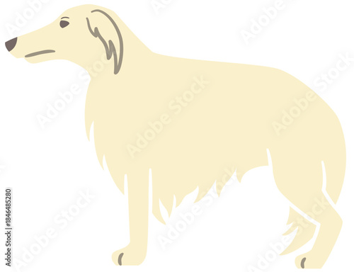 横向きの犬のボルゾイの全身のイラスト素材