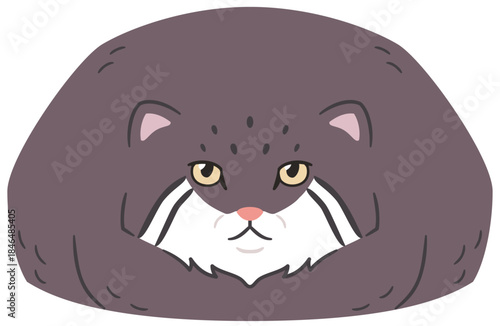 ふせをするマヌルネコ　イラスト素材