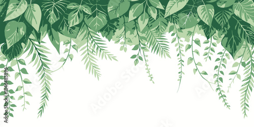 Lush green leaves hanging from above on white background