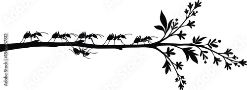 Ants on branch silhouette, black insect vector, nature teamwork illustration, leaves and twig composition, minimal decorative artwork, educational entomology graphic