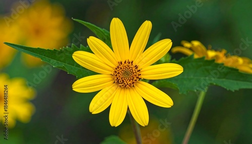 Bright yellow flower in full bloom, with green foliage providing a soft, blurry background
