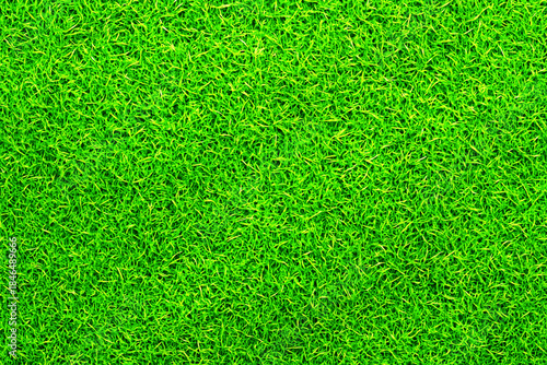 芝生背景素材　パターン　02