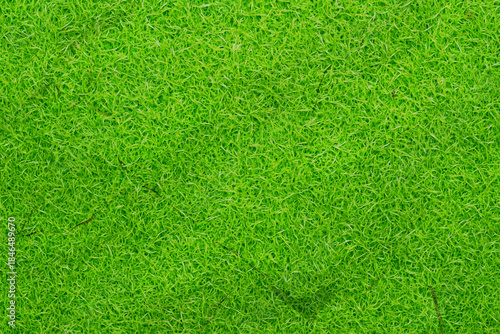 芝生背景素材　パターン　03