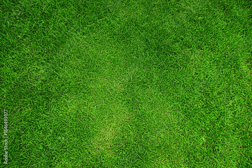 芝生背景素材　パターン　06