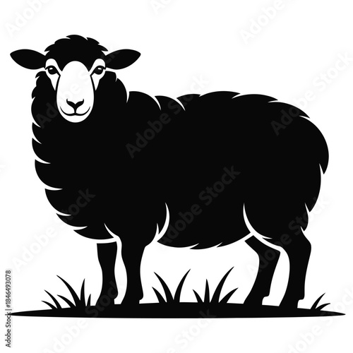 A charming and sturdy black sheep standing gracefully in a field of short grass, depicted in a classic silhouette style against a pristine white background