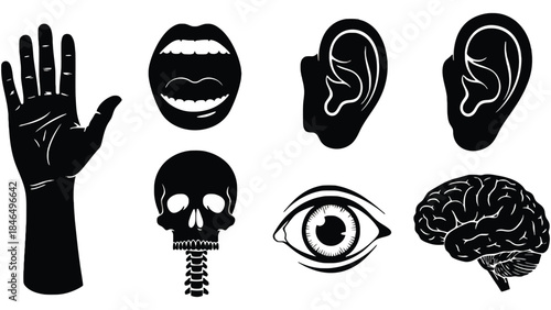 Black silhouettes of human body parts and skull