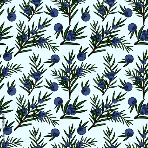 Seamless vector pattern of juniper branches with blue berries and needle-like leaves on a light blue background.