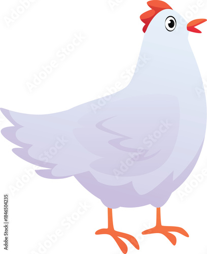 Poultry chicken bird vector flat icon, farm fowl cartoon illustration, cute white hen, country animal for food isolated