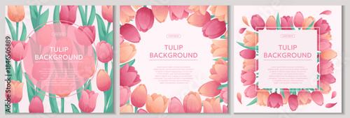 A set of colorful backgrounds with delicate tulips. The concept of a holiday, spring, women's day, Valentine's day. Vector illustration for the design of posters, flyers, postcards and invitations