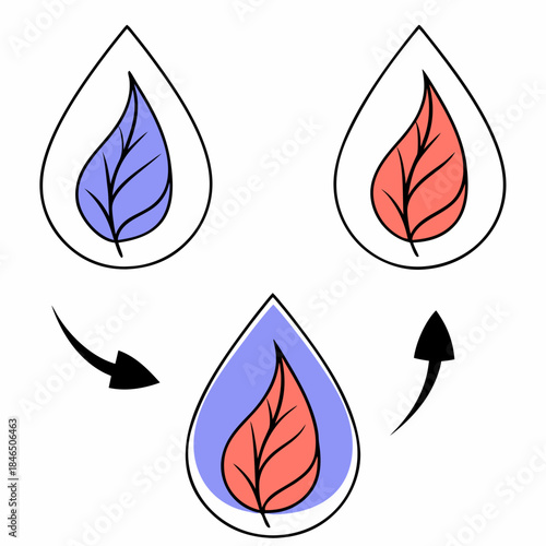 Transparent overlapping circles harmony vector illustration