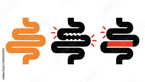 Digestive system health inflammation concept