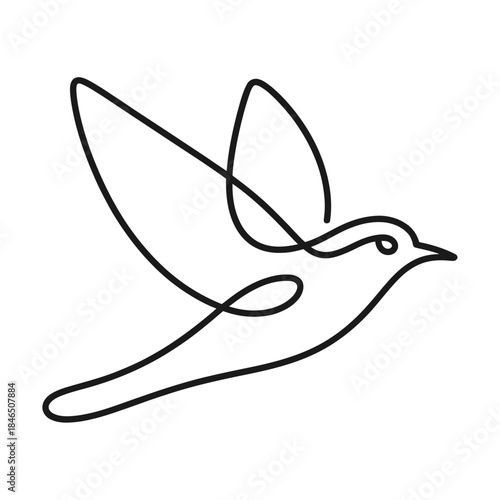 Abstract Bird Flying Line Art Vector Illustration