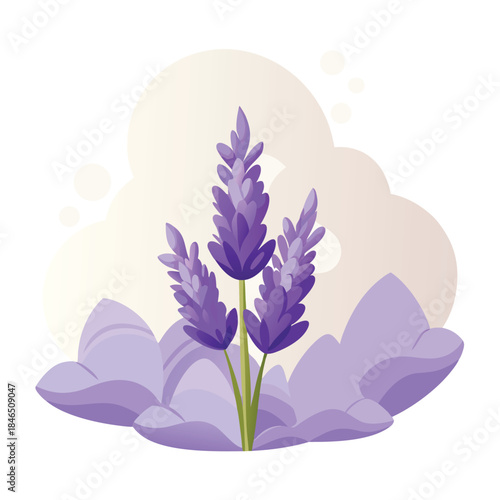 Illustration of three purple lavender flower spikes with green stems and leaves Keywords: lavender, flower, purple, plant, bloom, botanical
