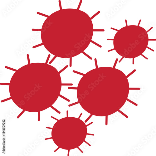 Bacterial Cell 
