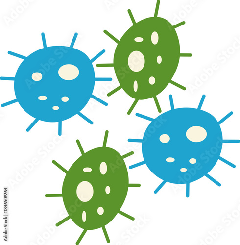 Bacterial Cell 