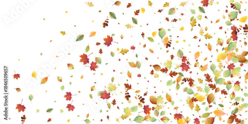 Leaves Falling Autumn Foliage Chaotic Leaf Flying