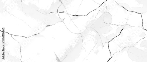 white marble texture