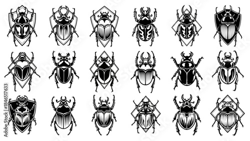 Collection of black beetle illustrations on white background vector