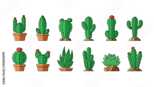 A collection of cute cartoon cactus and succulent plants vector illustration set