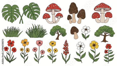 Hand-drawn illustrations featuring mushrooms, flowers, and various woodland plants for design projects