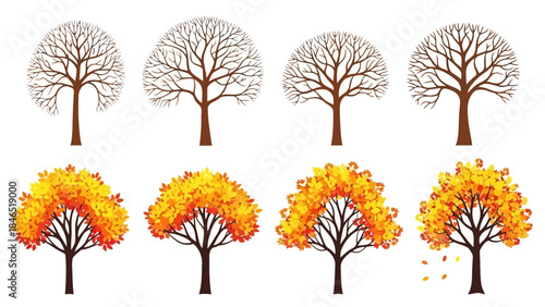 Autumn trees with colorful leaves and bare winter trees set on a white background