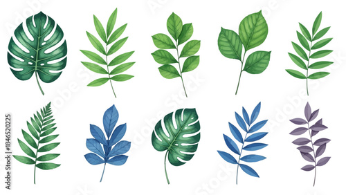 A collection of watercolor painted tropical and diverse leaves on a white background