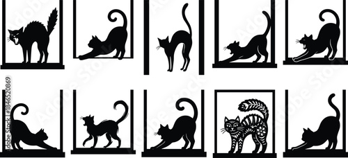 Cats, Silhouettes, Frames, Poses, Stretching, Walking, Crouching, Floral, Pattern, Pet, Art, Flat Vector